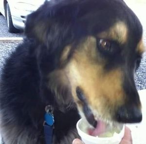 Meet your Posher, Cindy